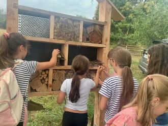 Mehr über den Artikel erfahren Die FTC- Schulkindergruppe bestückt das Insektenhotel des OGV Lindscheid