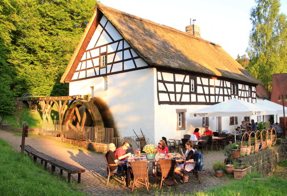 Mehr über den Artikel erfahren Herbstbauernmarkt auf der Johann-Adams-Mühle